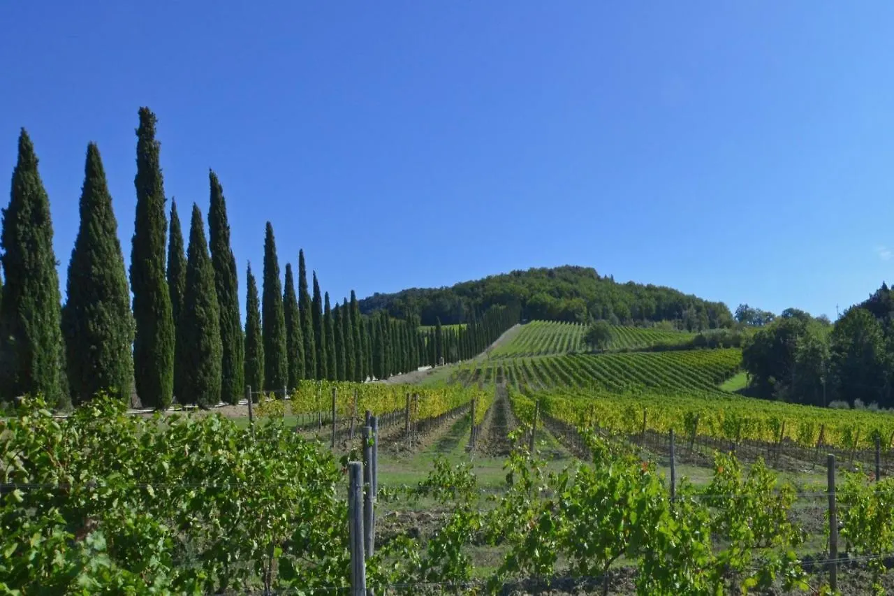 Villa Paradiso - Happy Rentals Mensano